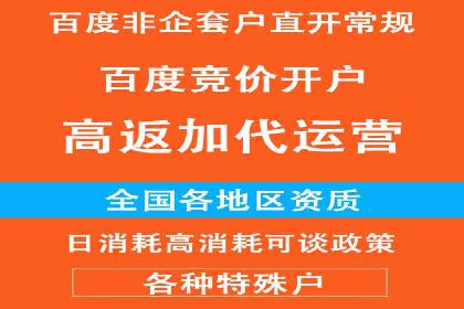 经典案例：专业SEM托管如何实现ROI最大化